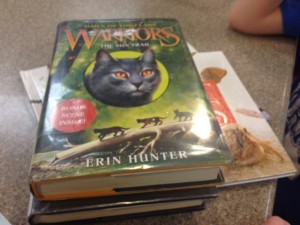 Warrior Book