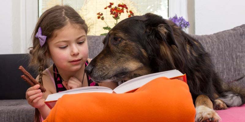 Girl and Dog